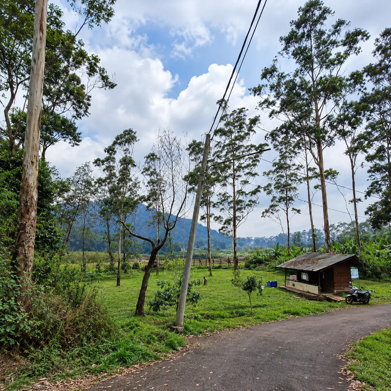 Pondok kecil di area camping Edelweis yang dikelilingi pepohonan