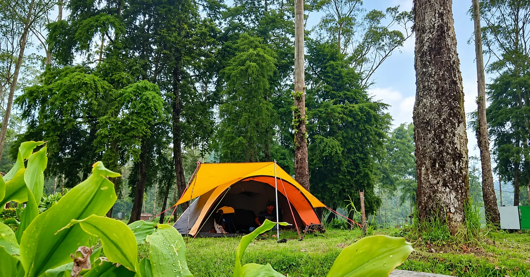 Tenda oranye di antara pepohonan rindang di area Puspa