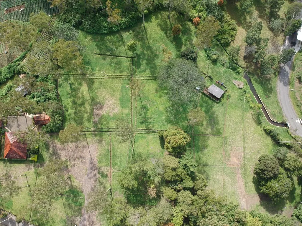 Pemandangan udara area perkemahan Rasamala yang dikelilingi pepohonan